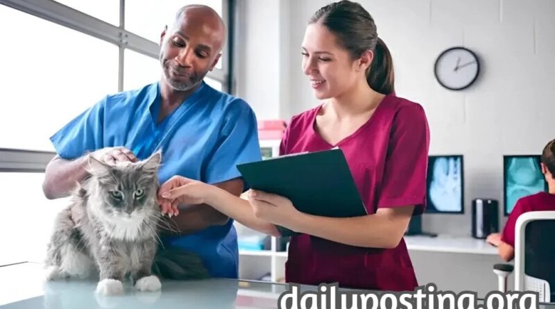 VetCityPets